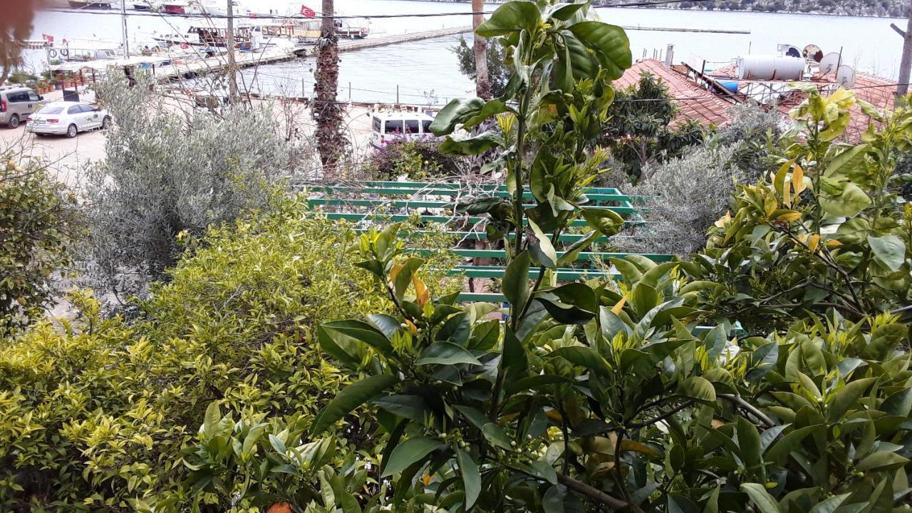 Cennet Pansiyon Hotel Kaleucagız Eksteriør billede